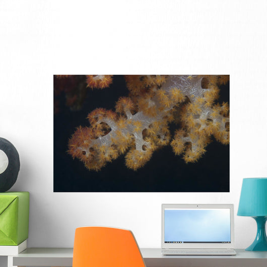 Close-up Tree Coral Fijian Yellow Wall Decal