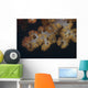 Close-up Tree Coral Fijian Yellow Wall Decal