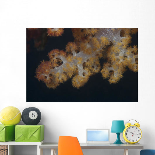 Close-up Tree Coral Fijian Yellow Wall Decal