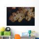 Close-up Tree Coral Fijian Yellow Wall Decal