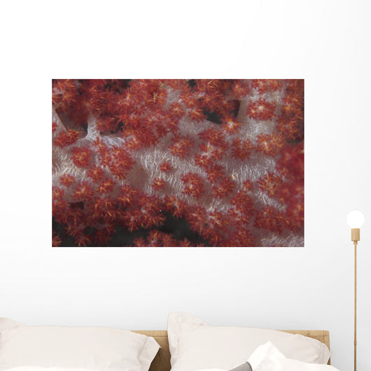 Red Tree Coral Fijian Covered Wall Decal
