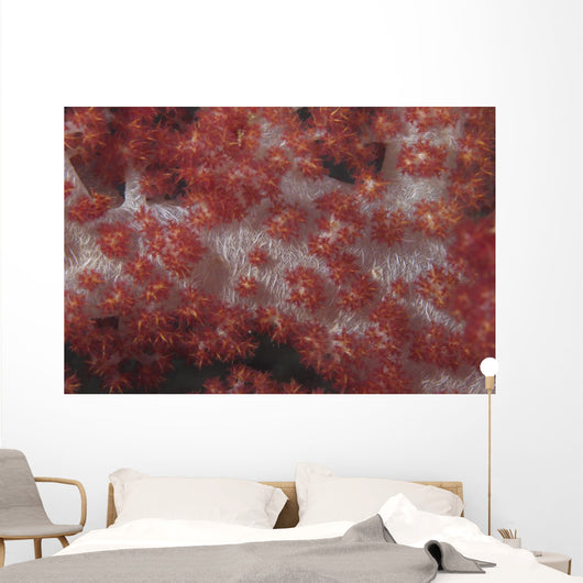 Red Tree Coral Fijian Covered Wall Decal