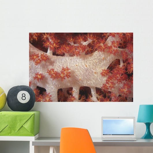 Red Tree Coral Fijian Close-up Wall Decal