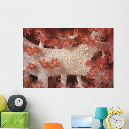 Red Tree Coral Fijian Close-up Wall Decal