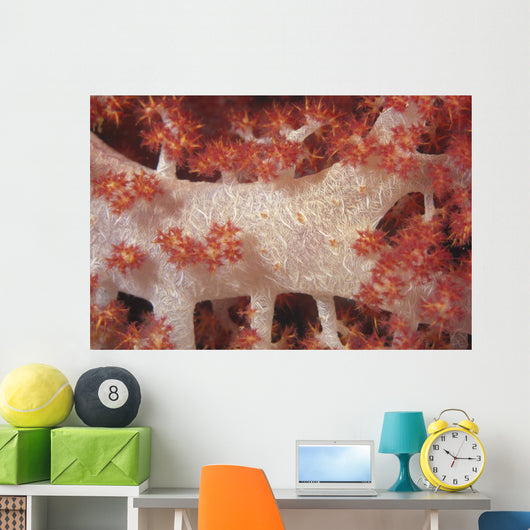 Red Tree Coral Fijian Close-up Wall Decal