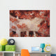 Red Tree Coral Fijian Close-up Wall Decal