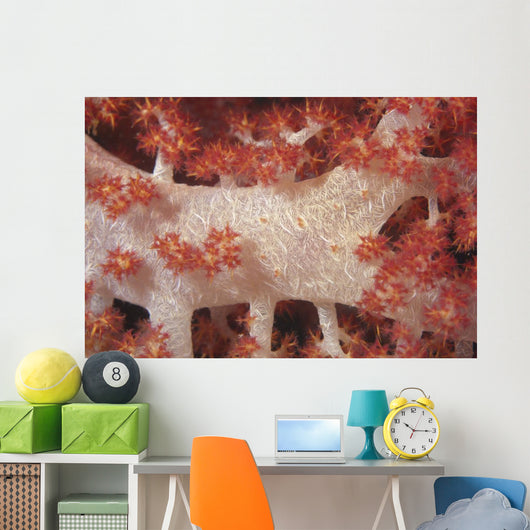 Red Tree Coral Fijian Close-up Wall Decal