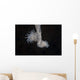 Cup Coral Polyps Hang Dangling Wall Decal