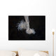 Cup Coral Polyps Hang Dangling Wall Decal