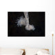 Cup Coral Polyps Hang Dangling Wall Decal