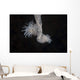 Cup Coral Polyps Hang Dangling Wall Decal