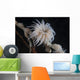 Cup Coral Polyps Hang Waving Wall Decal