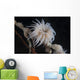 Cup Coral Polyps Hang Waving Wall Decal