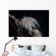 Cup Coral Polyps Hang Drooped Wall Decal