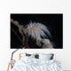 Cup Coral Polyps Hang Drooped Wall Decal