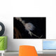 Cup Coral Polyps Hang Small Wall Decal