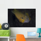 Golden Damselfish Fiji Wall Decal