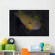 Golden Damselfish Fiji Wall Decal