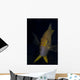Golden Damselfish Front Fiji Wall Decal