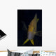 Golden Damselfish Front Fiji Wall Decal