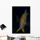 Golden Damselfish Front Fiji Wall Decal