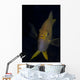 Golden Damselfish Front Fiji Wall Decal