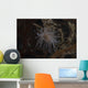 Cup Coral Polyps Hang Swaying Wall Decal