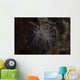 Cup Coral Polyps Hang Swaying Wall Decal