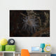 Cup Coral Polyps Hang Swaying Wall Decal