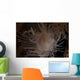 Cup Coral Polyps Hang Close-up Wall Decal