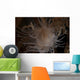 Cup Coral Polyps Hang Close-up Wall Decal