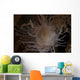 Cup Coral Polyps Hang Close-up Wall Decal