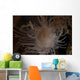 Cup Coral Polyps Hang Close-up Wall Decal