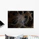 Cup Coral Polyps Hang Wall Decal