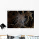 Cup Coral Polyps Hang Wall Decal