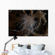 Cup Coral Polyps Hang Wall Decal
