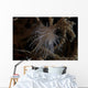 Cup Coral Polyps Hang Wall Decal