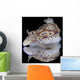 Risbecia Tryoni Nudibranch Beqa Left Profile Wall Decal