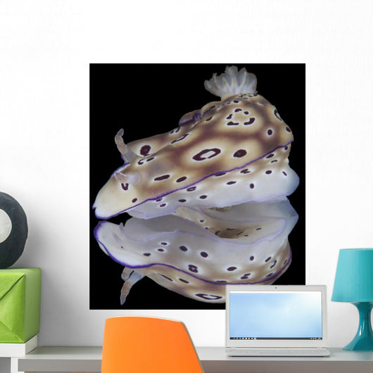 Risbecia Tryoni Nudibranch Beqa Left Profile Wall Decal