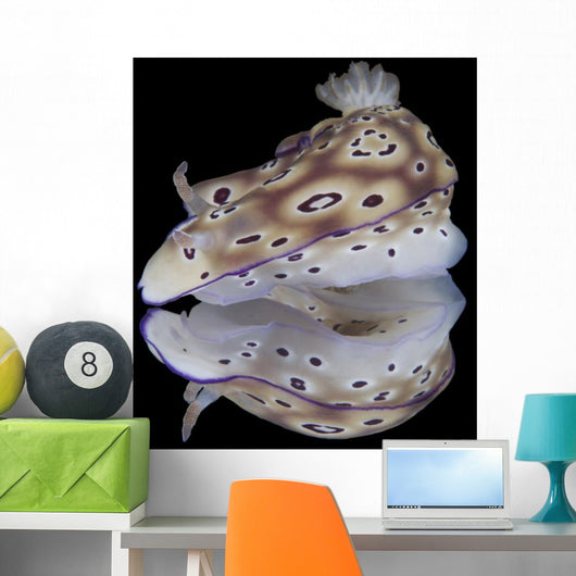 Risbecia Tryoni Nudibranch Beqa Left Profile Wall Decal