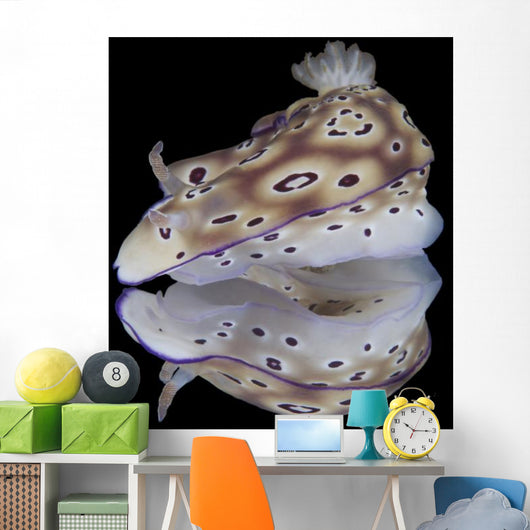 Risbecia Tryoni Nudibranch Beqa Left Profile Wall Decal