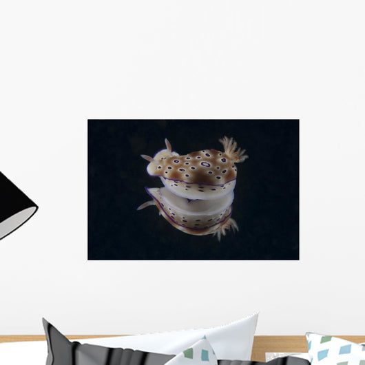 Risbecia Tryoni Nudibranch Beqa Turning Wall Decal
