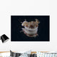 Risbecia Tryoni Nudibranch Beqa Turning Wall Decal