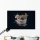 Risbecia Tryoni Nudibranch Beqa Turning Wall Decal
