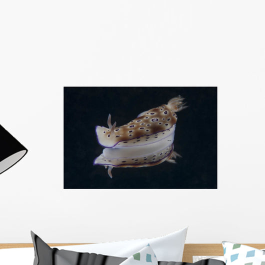Risbecia Tryoni Nudibranch Beqa Left Side Wall Decal