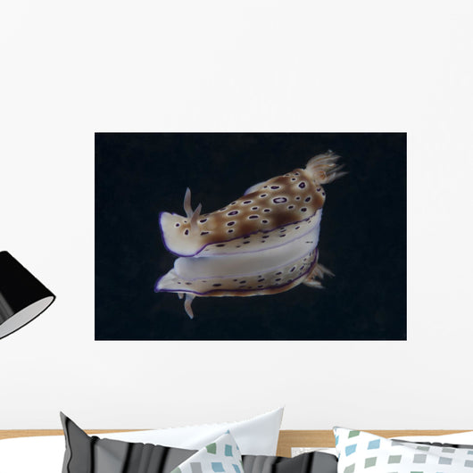 Risbecia Tryoni Nudibranch Beqa Left Side Wall Decal