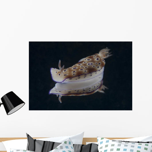 Risbecia Tryoni Nudibranch Beqa Left Side Wall Decal