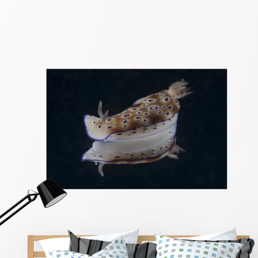 Risbecia Tryoni Nudibranch Beqa Left Side Wall Decal