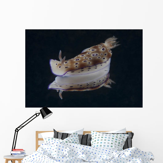 Risbecia Tryoni Nudibranch Beqa Left Side Wall Decal