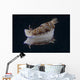 Risbecia Tryoni Nudibranch Beqa Left Side Wall Decal